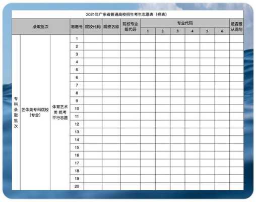 广东艺术生填报志愿（广东艺术类填报志愿）