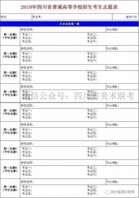 四川省艺术志愿填报表（四川省艺术志愿填报表模板）