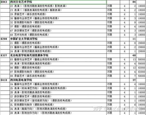 2017年艺考报志愿（2017年艺考总分）