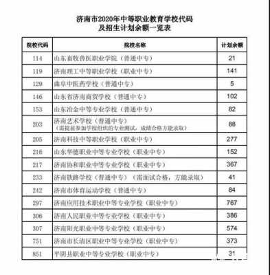 2016山东征集志愿学校（2020年山东征集志愿学校）