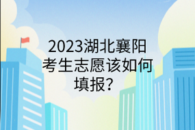 襄阳高考填报志愿（襄阳高考填报志愿流程）