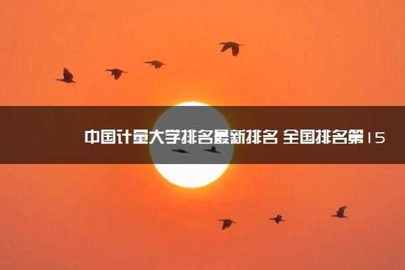 中国计量大学一志愿（中国计量大学一志愿不满的学校复试会刷人吗）