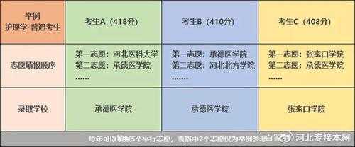 河北五个平行志愿（河北96个平行志愿录取规则）