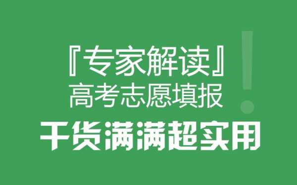 高考志愿填报咨询专家（高考志愿填报咨询专家是什么）