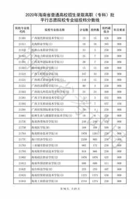 海南平行志愿投档最低分（海南省平行志愿投档规则）