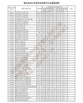 体育本科平行志愿湖北（体育类平行志愿投档原则）