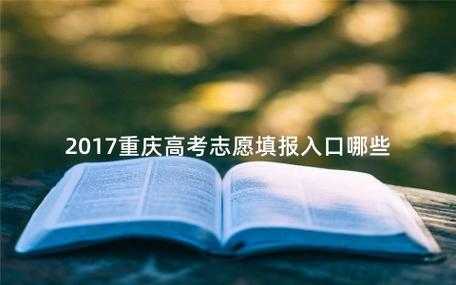 2017重庆查询志愿（重庆市志愿录取结果查询）