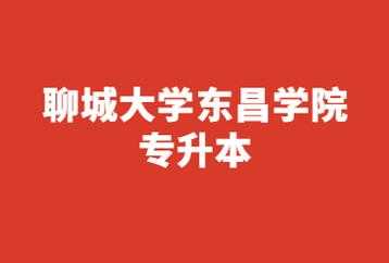 聊大东昌填报志愿代码（聊大东昌学院是本科还是专科）