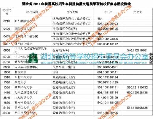 湖北高考2017志愿查询（湖北高考2017志愿查询系统）