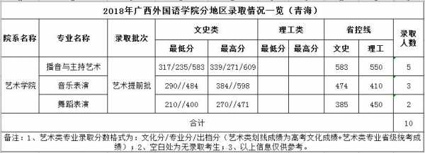 广西外国语学院各志愿录取（广西外国语学院2020）