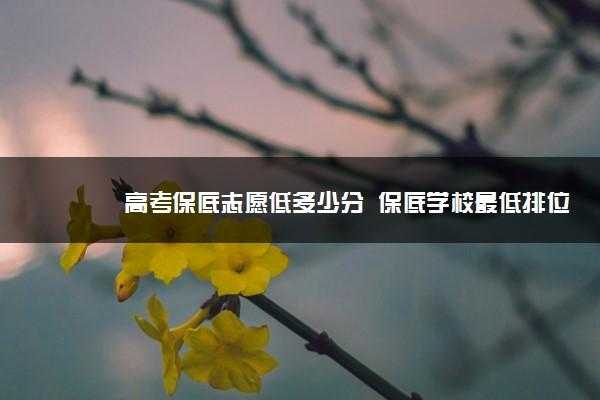 保底志愿（保底志愿是什么意思）