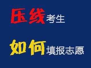 压线分怎么报志愿（压线考生如何报志愿）