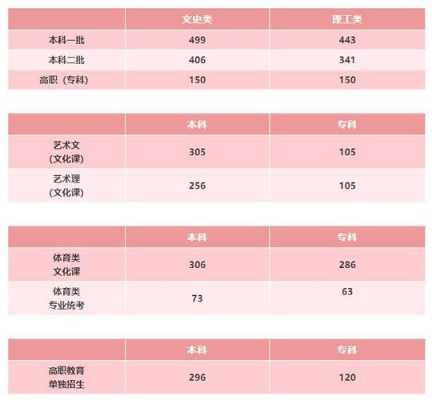 高考文科499志愿（499分文科）