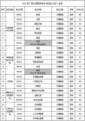 广西外国语志愿填报（广西外国语学院招生条件）