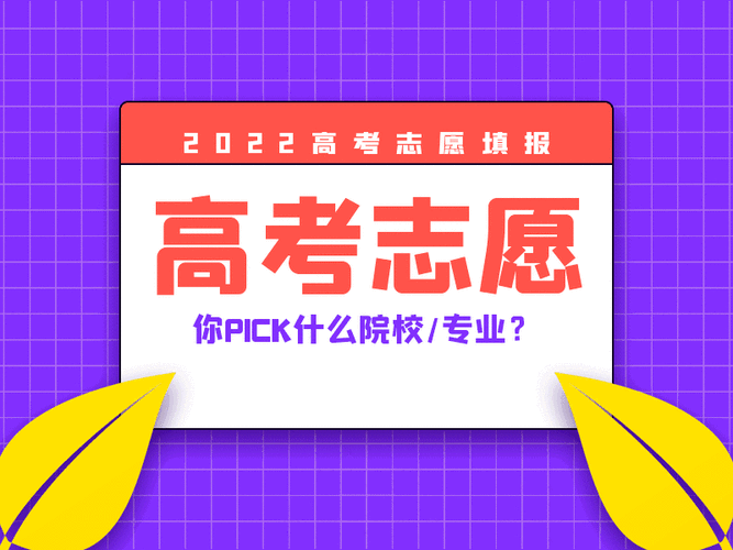 高考志愿二视一（高考志愿二视一能报吗）