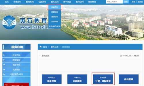 黄石中考志愿填报网址（黄石中考志愿录取查询）