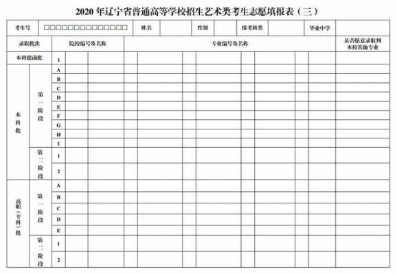 大学本科录取志愿表（2021本科填报志愿）