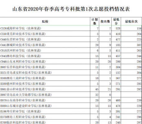 山东生专科平志愿多少个（山东专科志愿填报多少个）