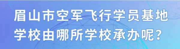 双学籍飞行员如何填报志愿（双学籍飞行员毕业什么军衔）