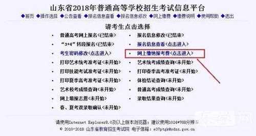 一定要用ie填志愿吗（填报志愿没有用ie浏览器提交了有效吗?）