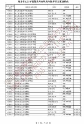 高职分类考试平行志愿（2021高职高专平行志愿）