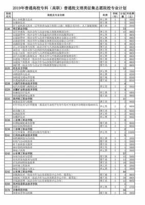 2019征集高职志愿学校（2020高职高专征集志愿）