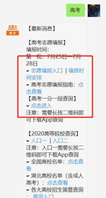 武汉高考志愿状态查询（武汉高考志愿状态查询入口官网）