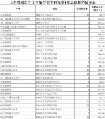 山东2017艺术类志愿（山东2021年艺术类志愿填报）