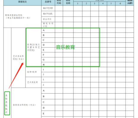 高考音乐类志愿规则（高考志愿音乐专业）