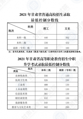 甘肃省压线生志愿填报（2021年甘肃省普通高校招生考生志愿填报指南）