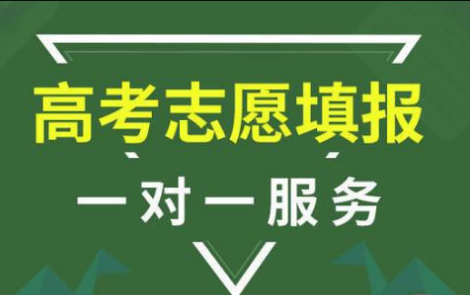 哪里找报志愿指导的（报考志愿指导）