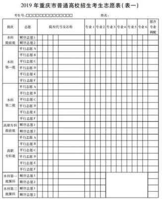 重庆美术生志愿填报表（重庆美术生志愿填报表模板）