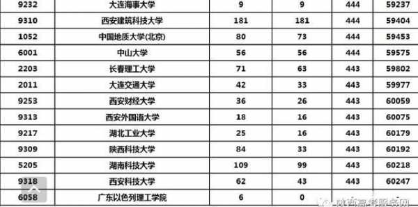 318分填什么志愿（318分能考什么学校2020）