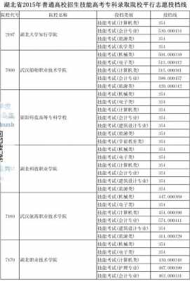 湖北专科是平行志愿吗（湖北专科填志愿可以填几个学校）