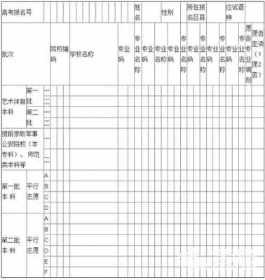 辽宁平行志愿电子表（平行志愿辽宁省）