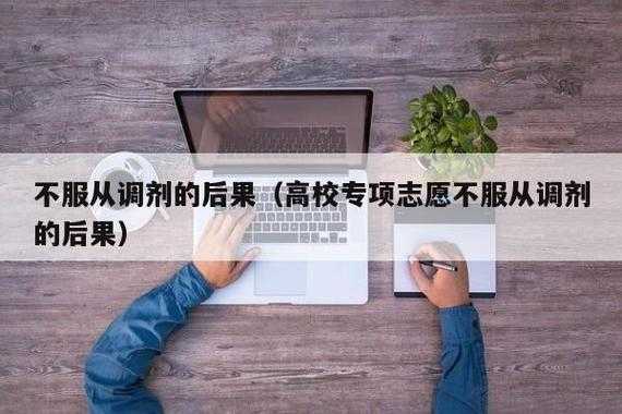 志愿不填调剂（填志愿不填服从调剂会怎样）