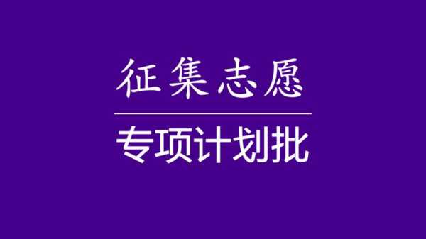 报志愿专项计划（什么是专项计划志愿）