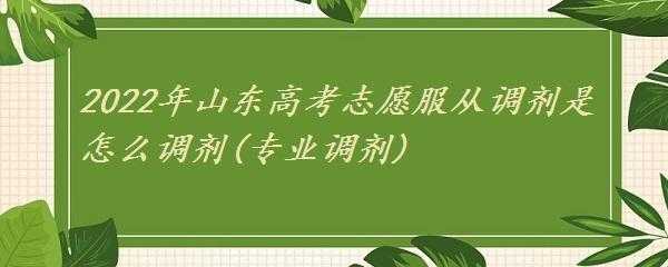 山东志愿没有调剂（山东志愿还有调剂吗）