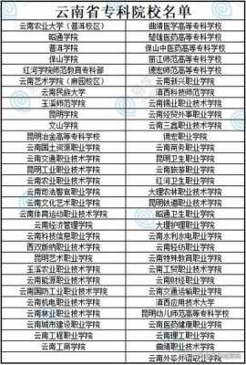 云南省专科志愿可以报几个（云南省专科批可以报几个学校）