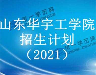 华宇工学院志愿代码（华宇工学院2021招生简章）