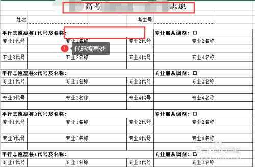 报考志愿学校代号（报考志愿学校代号怎么填）