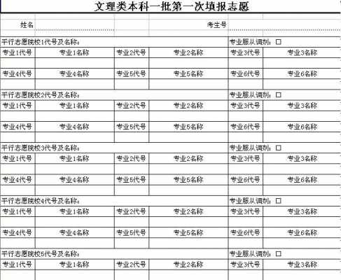 山东省报考志愿表（2021山东志愿填报表样表）