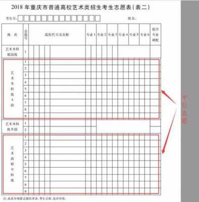 美术平行志愿高职专科（美术平行志愿录取规则2020）