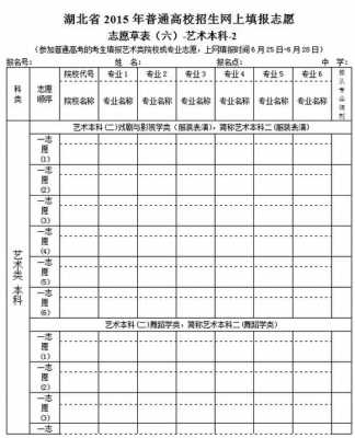 湖北2019志愿填报网站（2019湖北高考征集志愿表）