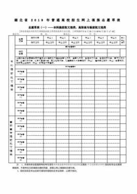 湖北2019志愿填报网站（2019湖北高考征集志愿表）
