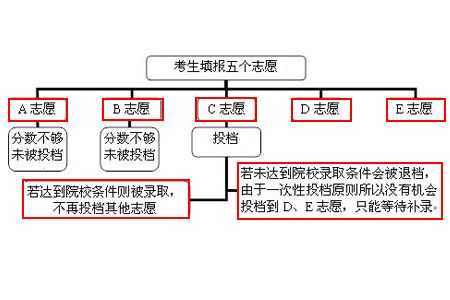 怎么样报名平行志愿（平行志愿填报流程视频）