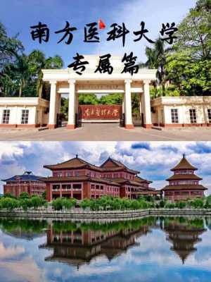 南方医科大2017一志愿（2017南方医科大学）