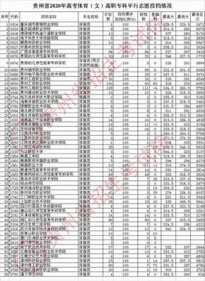 福建艺术体育平行志愿（福建省普通高校招生体育,艺术类专业）