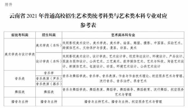 云南省艺术类生志愿填报（云南艺术生报考指南2021）