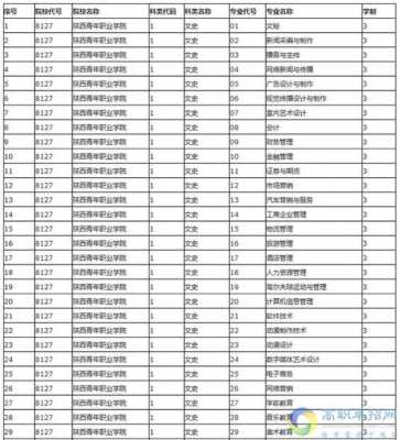 陕西青年职业学院填报志愿（陕西青年职业学院招生章程）